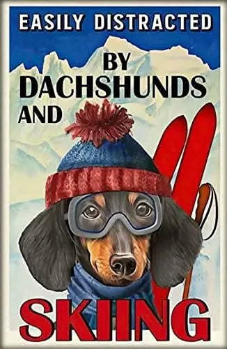 

Dachshunds Metal Tin Sign,Easily Distracted by Dogs and Skiing,Metal Tin Signs Poster Wall Decor for Bar Cafe Home Garage