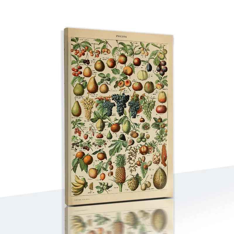 

Animals and Plants Education Posters Butterfly Posters and Prints Fruits Canvas Paintings Vegetables Pictures Metal Wall Signs