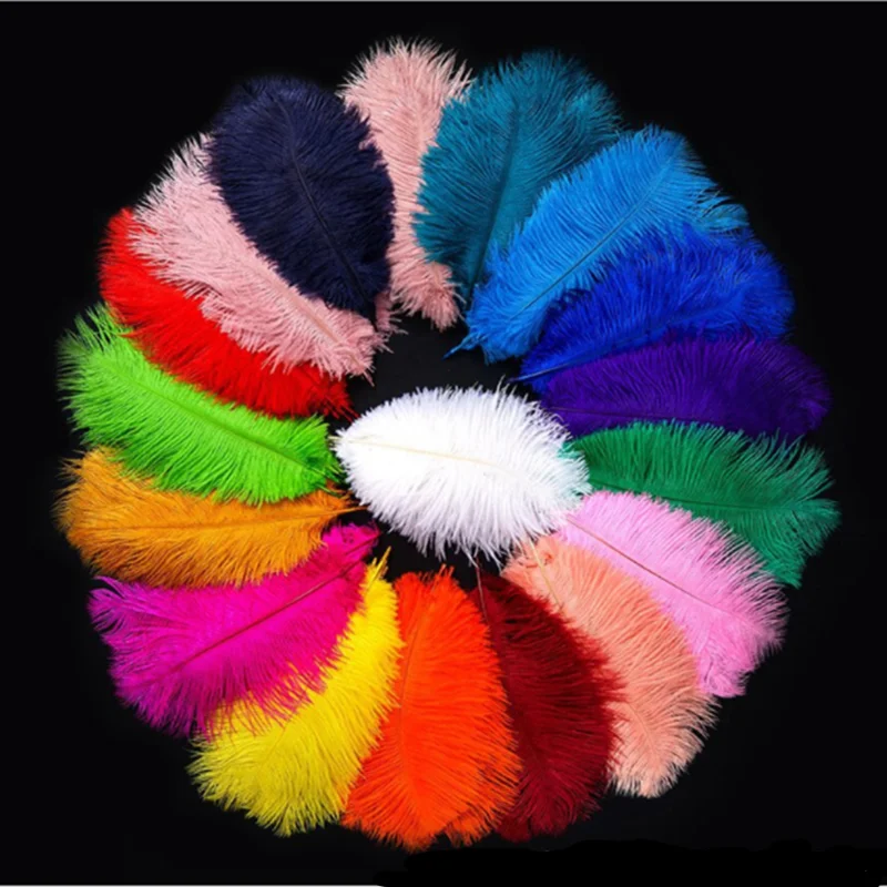 

10Pcs Ostrich Feathers For Jewelry Making Plume Diy Dream Catcher Decorations Vase Needlework Craft Supplies Wedding Accessories