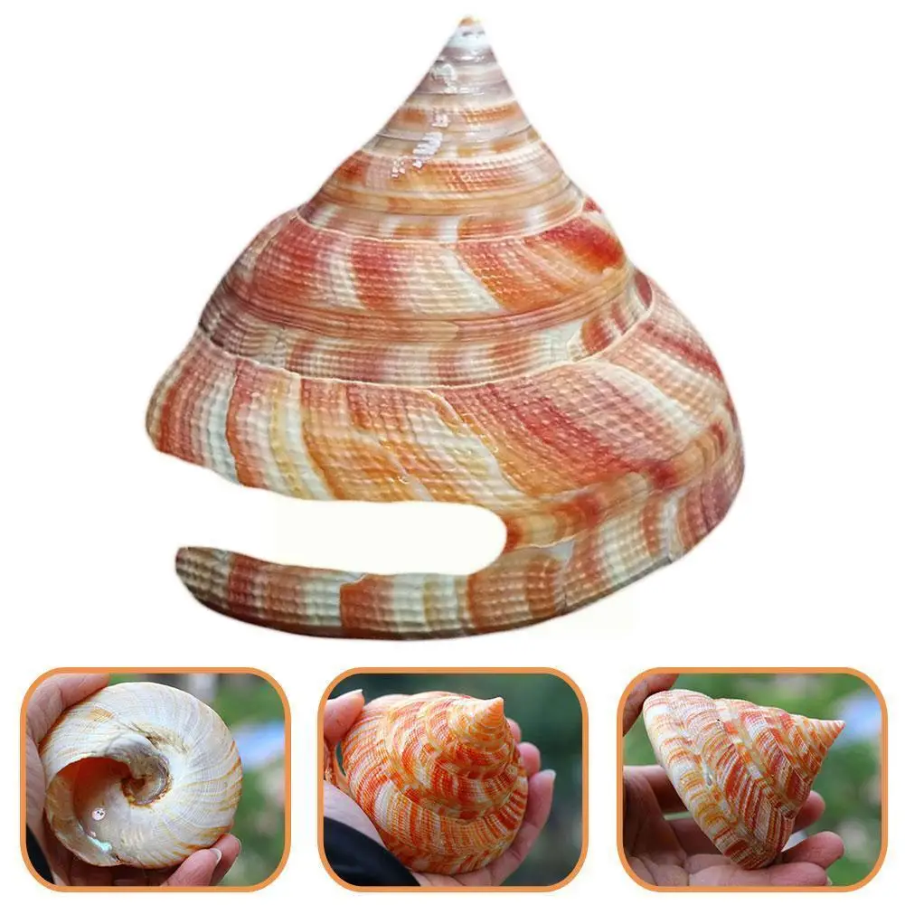 

1 шт. башня, морская улитка, натуральный раковина, украшение для рыбы, пляжный краб, подарки, ремесленные образцы ландшафта, декор для рыб H Q6a5