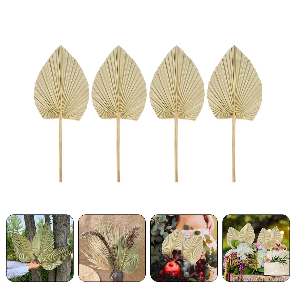 

Palm Dried Leaves Leaf Decor Tropical Decorationparty Weddingnatural Flowers Pampas Wall Flower Bouquettable Fan