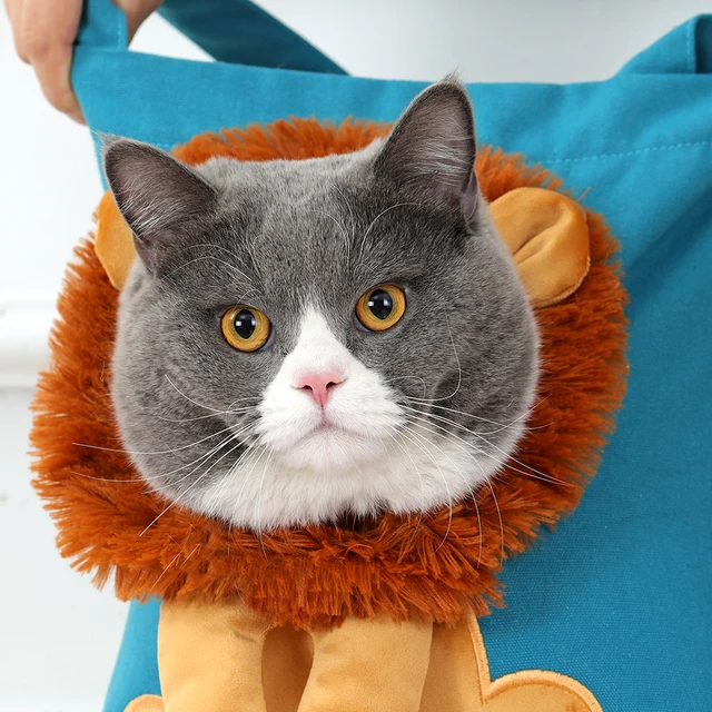 Soft Pet Carriers Lion Design Portable Breathable Bag Cat Dog Carrier Bags Outgoing Travel Pets Handbag with Safety Zippers 3