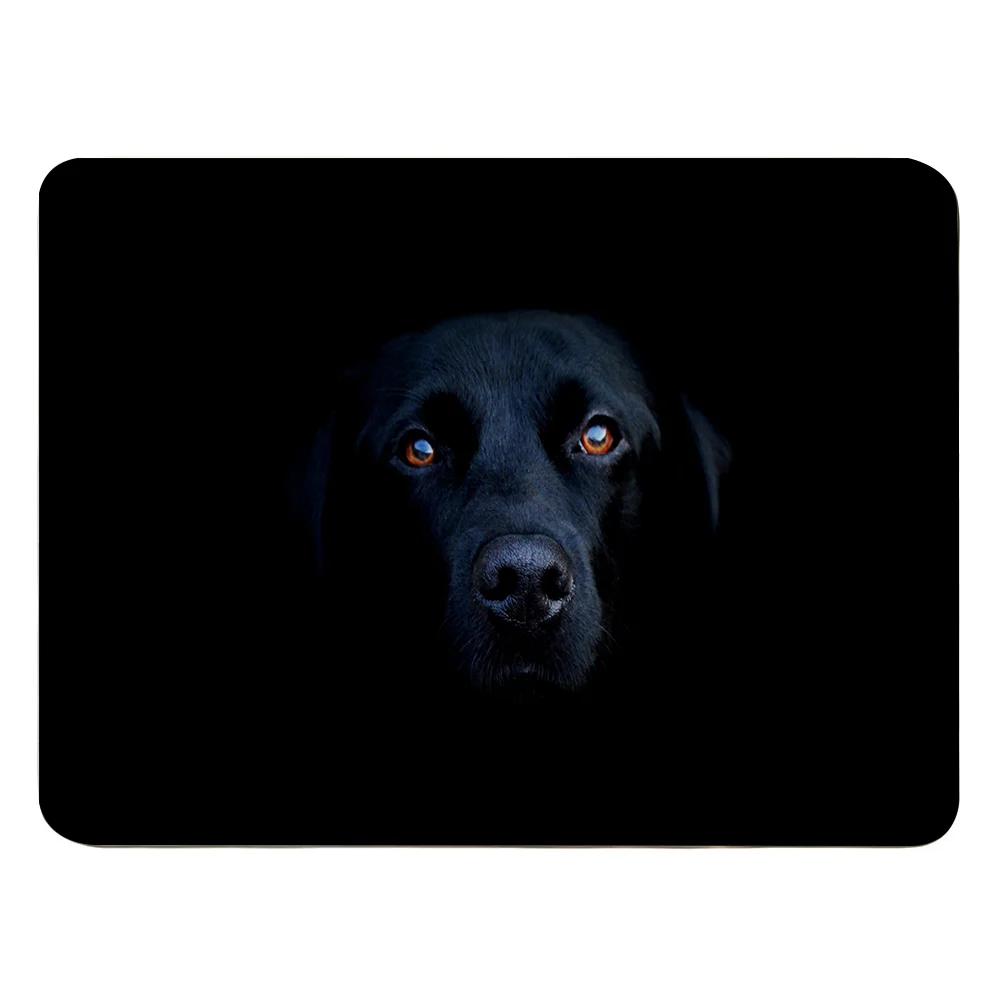 

Dog Kitchen Entrance Doormat Home Bedroom Floor Decoration Hallway Mat Balcony Bathroom Anti-Slip Carpet Modern Printing Rug