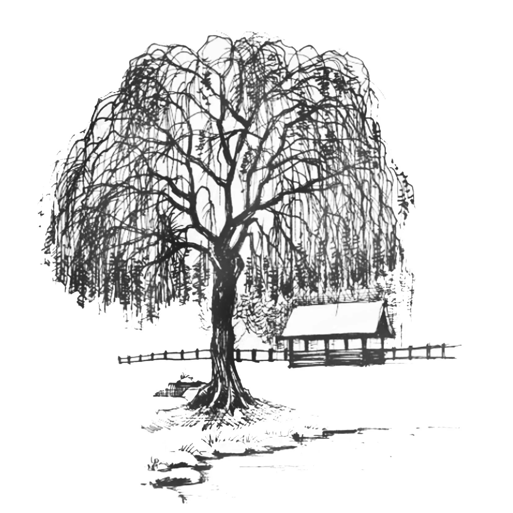 

DABOXIBO Big Tree Clear Stamps Mold For DIY Scrapbooking Cards Making Decorate Crafts 2020 NEW Arrival