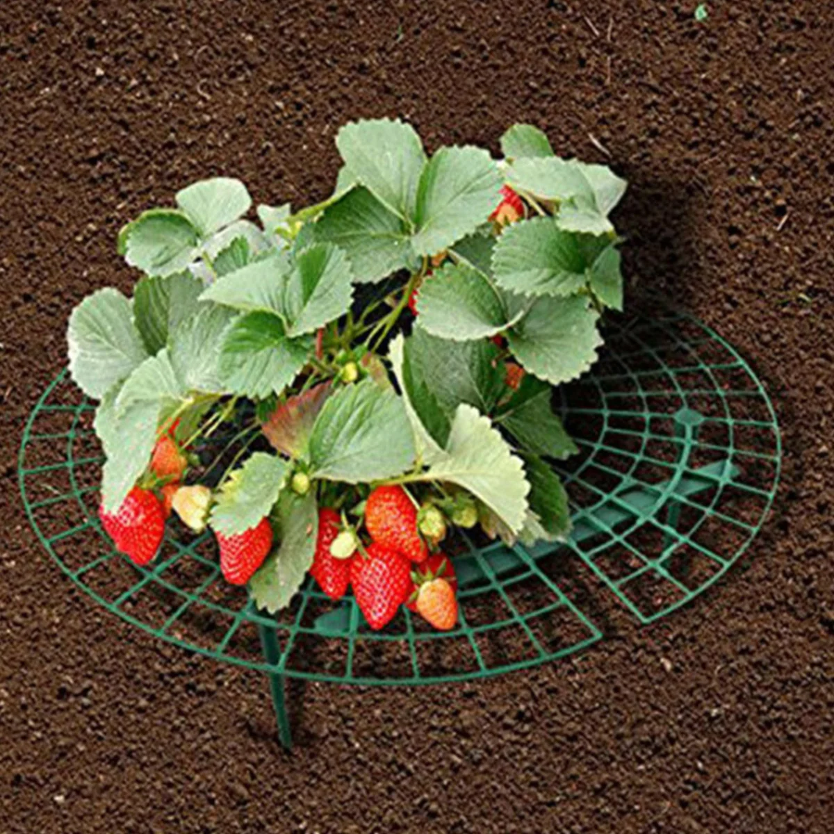 

5 Packs Plastic Strawberry Supports Vegetable Rack Plant Growing Racks Frame