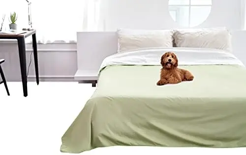 

Blanket Cover for Dogs, Cats and People | Bed, Sofa and Couch Protector | King and Queen 95 inch x 90 inch (Green, Beige) | Reve