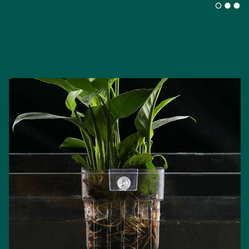 Рыбный резервуар стакан растений прозрачные подставки для гидрокультуры