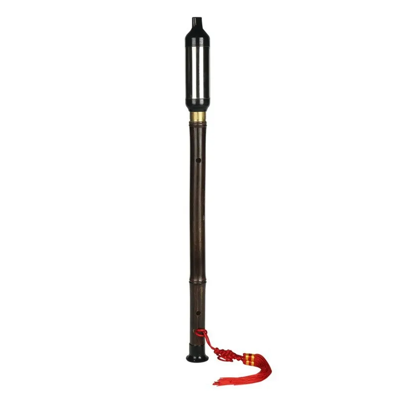 Начинающие изучают музыкальный инструмент B чтобы выдувать мелодию F Фиолетового