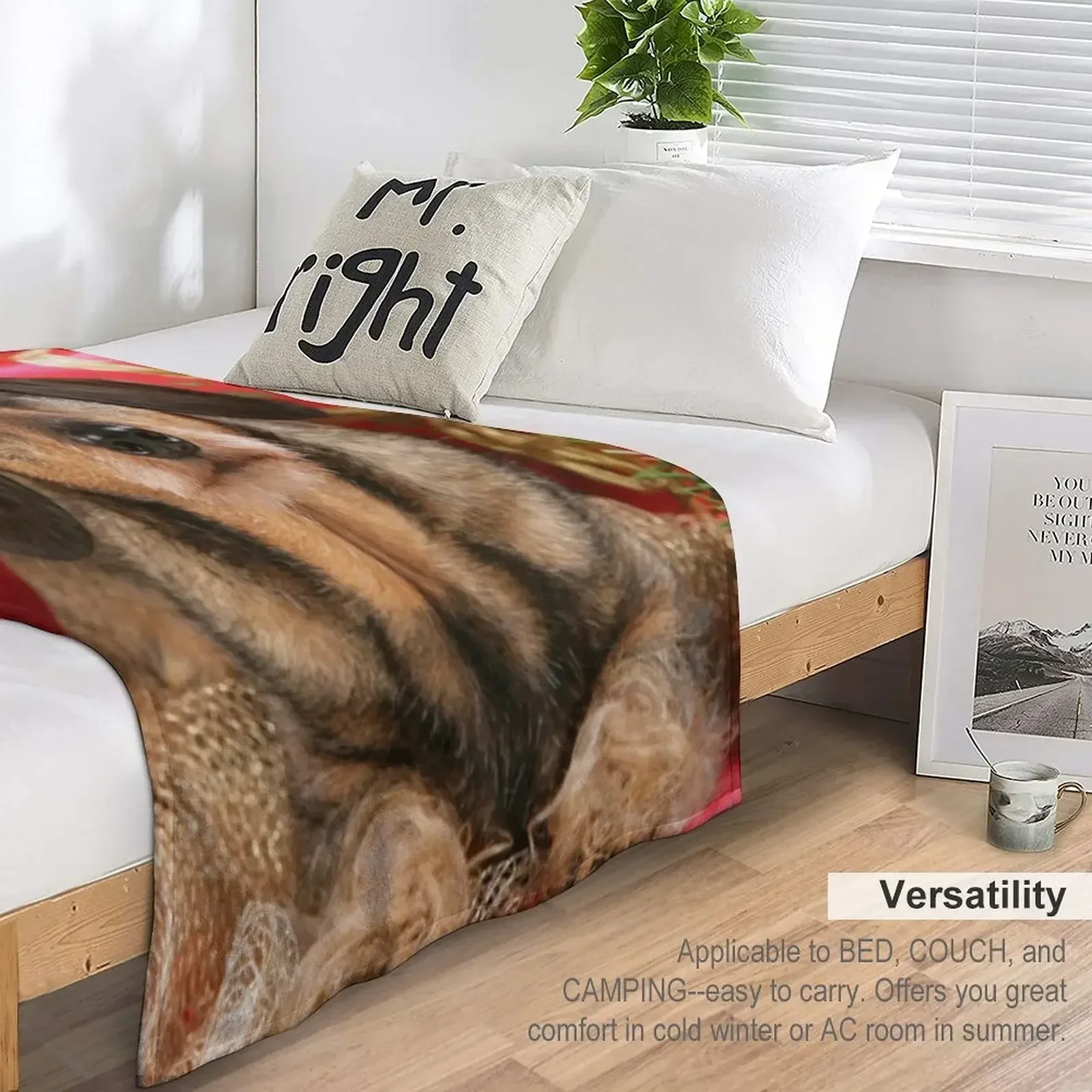 Сладкая проволочно-волосая собака-такса желает с Рождеством плед туристические