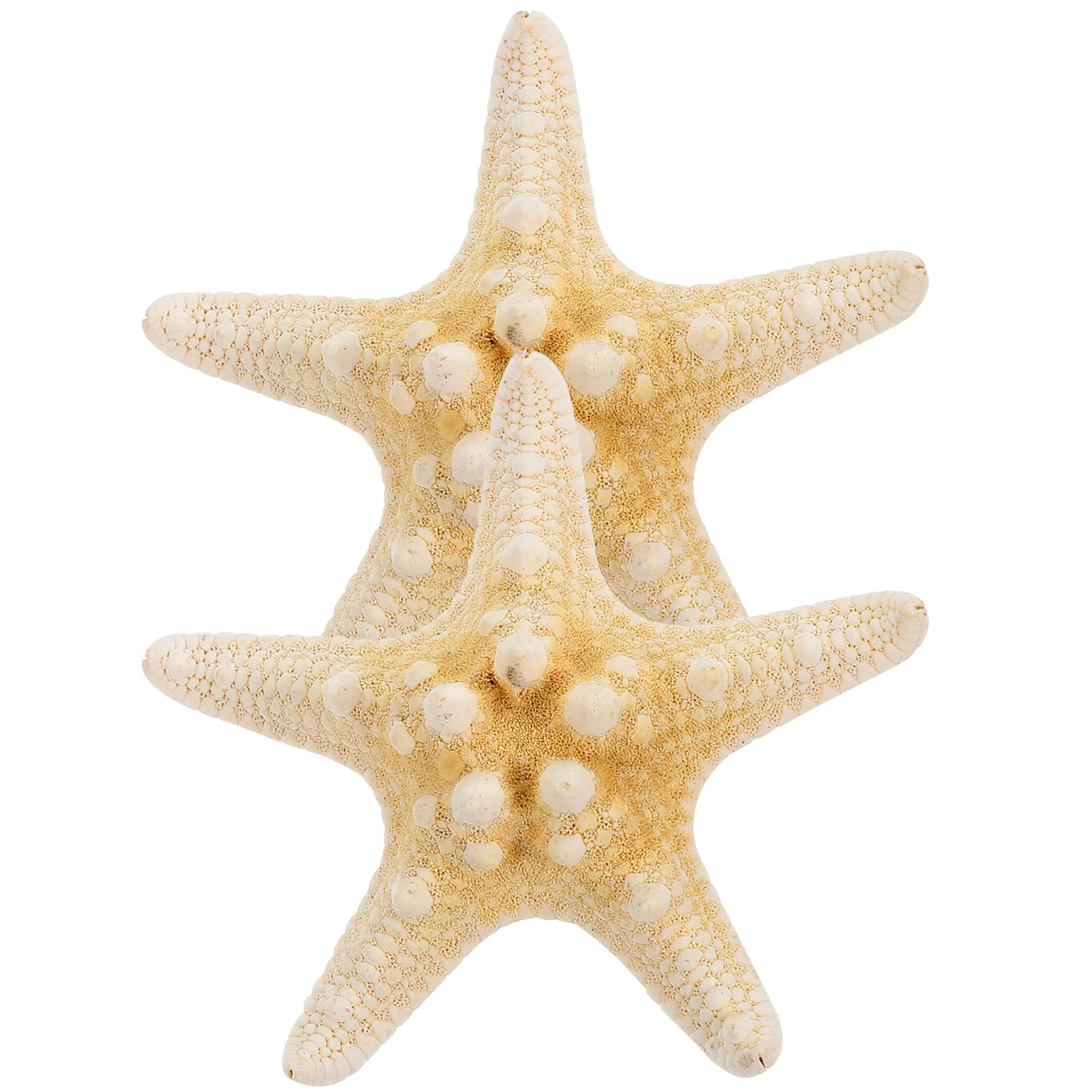 2 шт. аксессуары для волос девочек заколки-ракушки пляжные заколки со звездами