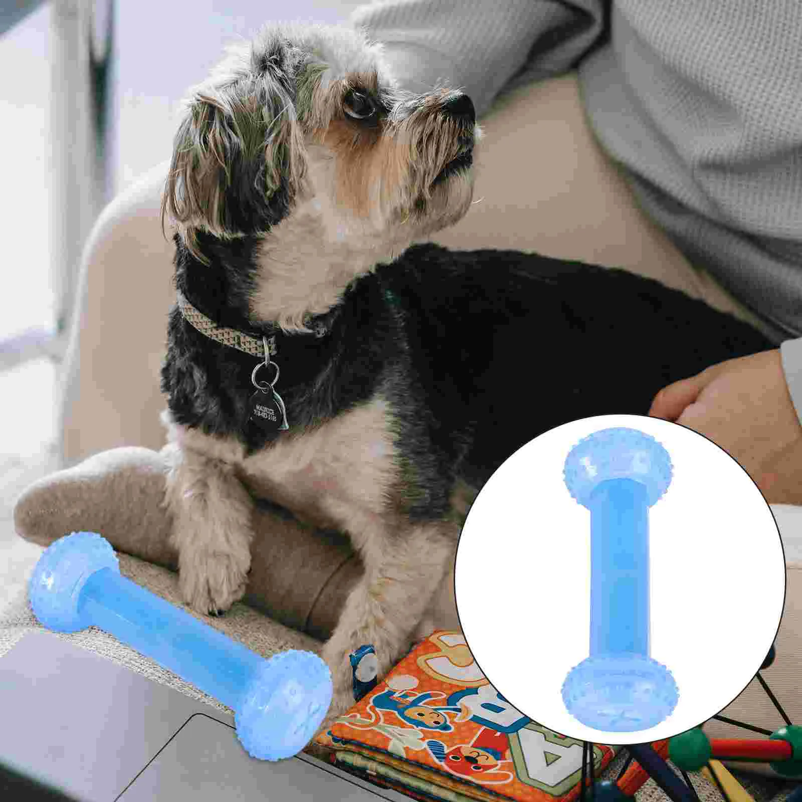

Toy Dog Toys Teething Puppy Chew Cooling Dogs Pet Puppies Cat Biting Slow Bone Pineapple Bite Ring Feeder Bow Teether Summer