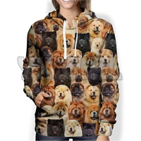 you will have a bunch of chow chows 3d printed hoodies men for women unisex pullovers funny dog hoodie casual street tracksuit