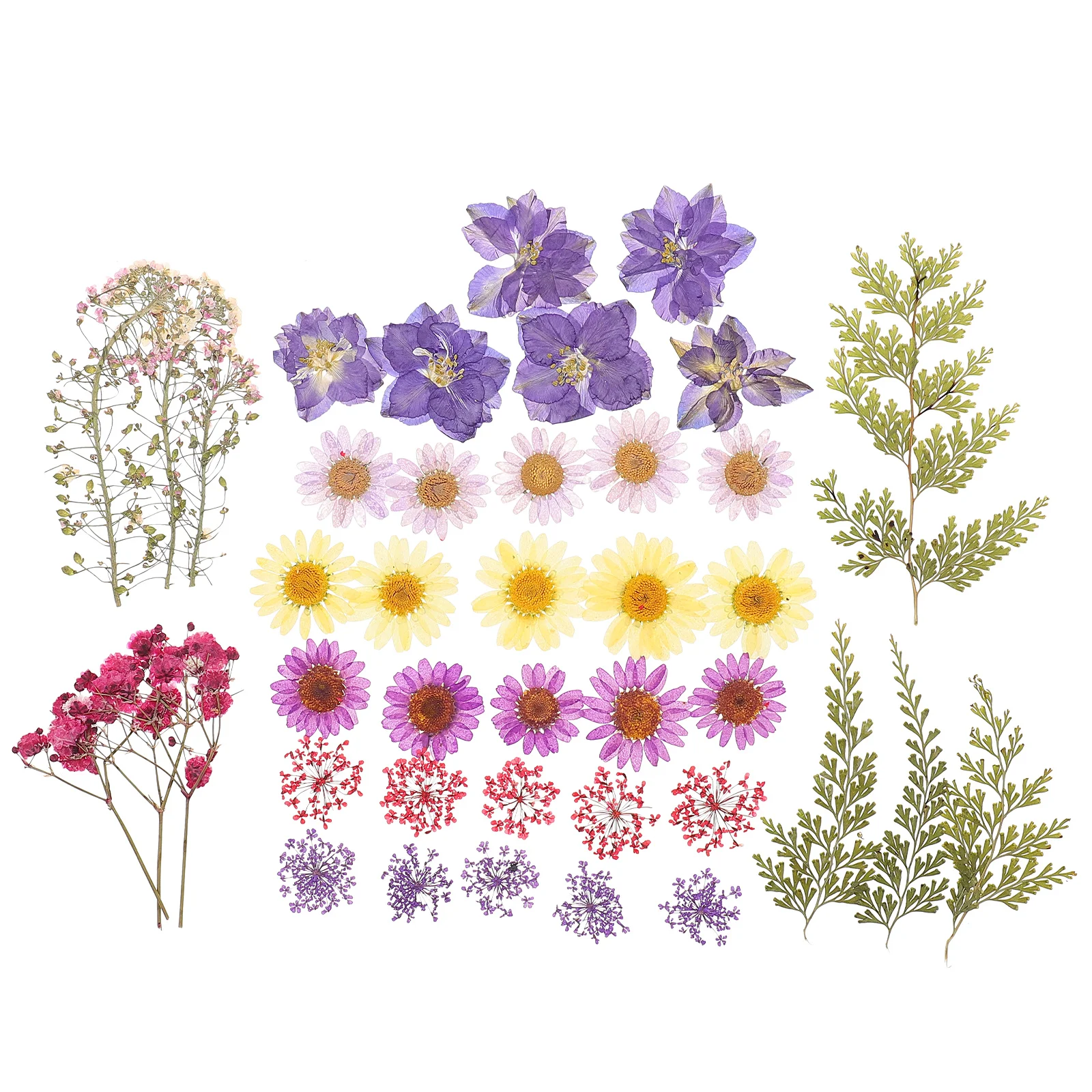 

40pcs DIY Dried Leaf Pressed Flowers Plants Patches for Epoxy Crafts Making