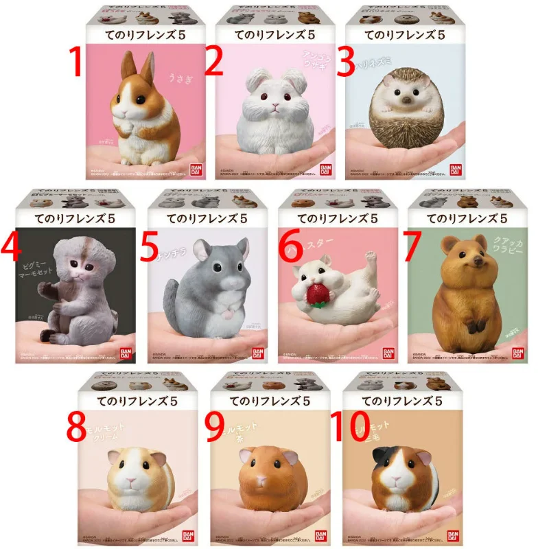 

Original Bandai Box Egg Pocket Macey Friends 5 Rabbit Hedgehog Totoro Polar Bear Puffer