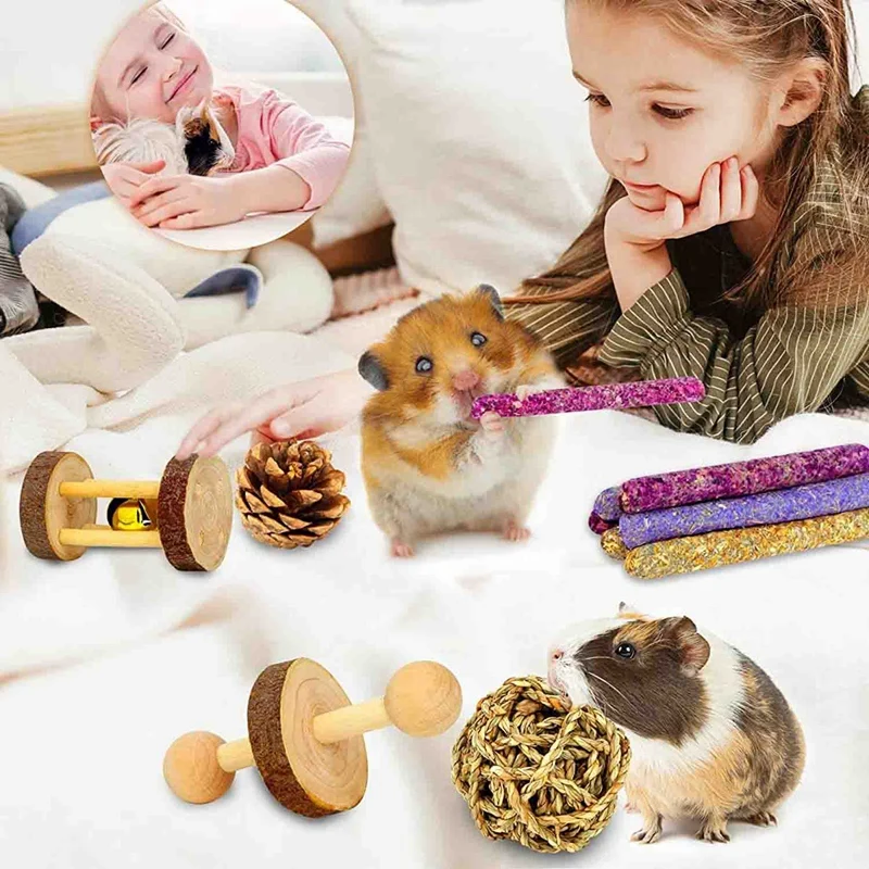 Набор игрушек из дерева для хомяков и морских свинок, 18 штук, натуральная яблоневая древесина, помогает точить зубы.