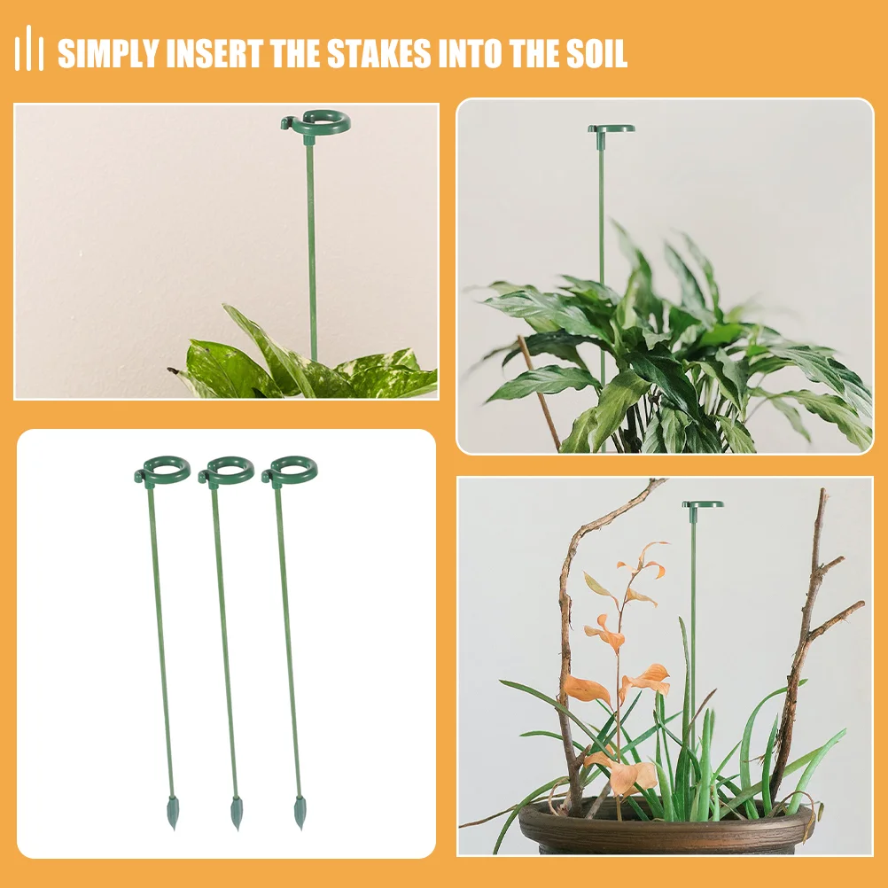 Сочные подставки для фаленопсиса колья комнатных цветов бабочек орхидей