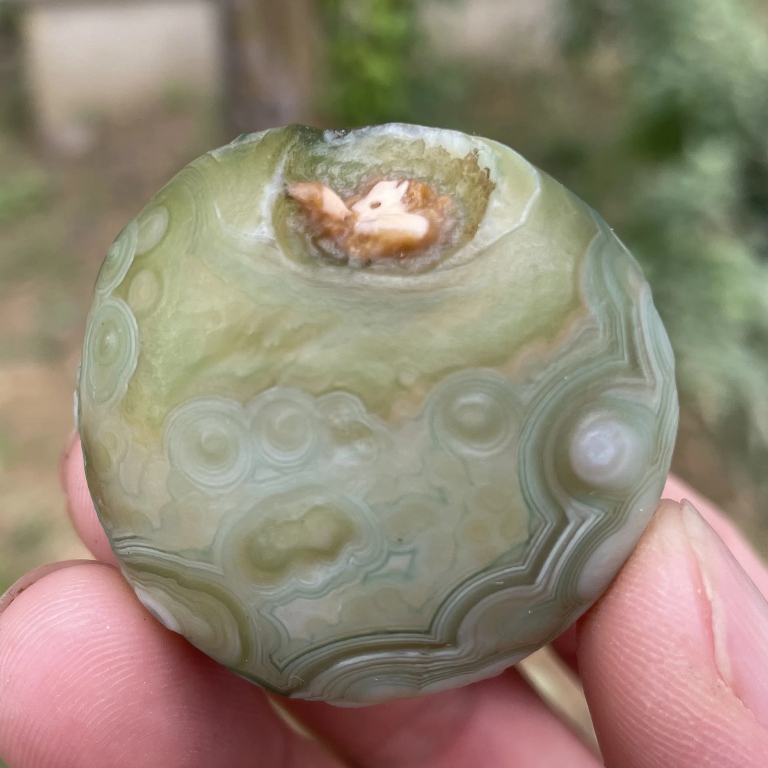 Натуральный зеленый агат Sardonyx Alxa Gobi Eye минеральный образец энергетический