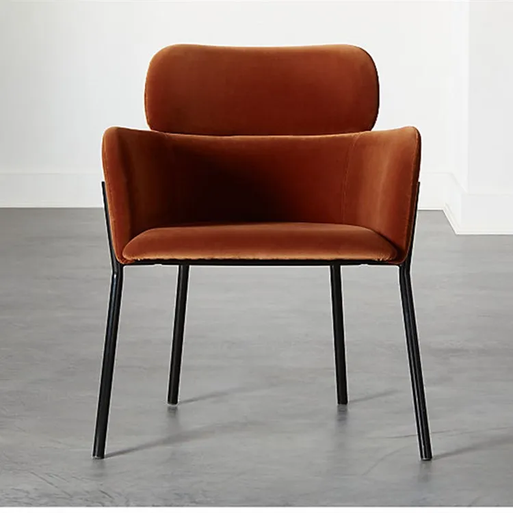 

Nordic Dining Chair Modern Minimalist Home dining room Chair Coffee Shop Chair Wrought Iron Net Red Chair Coffee Shop
