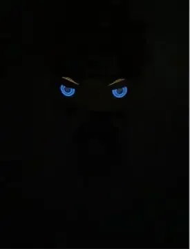 Funko NARUTO KAKASHI 822 # УУМКИ 726 ГАРА 728 OROCHIMARU 729 TSUNADE 730 JIRAIYA ON TOAD Коллекционная модель