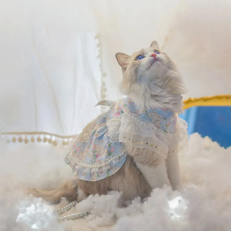 

Pet Clothes Dress Summer Thin Lolita Skirt Cute Dog Spring and Autumn Style Hair-proof Dowry Cat Accessories Cat Dress Up Tool