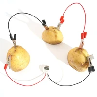 childrens science experiment educational toys potato fruit bioenergy power generation science experiment diy technology physics