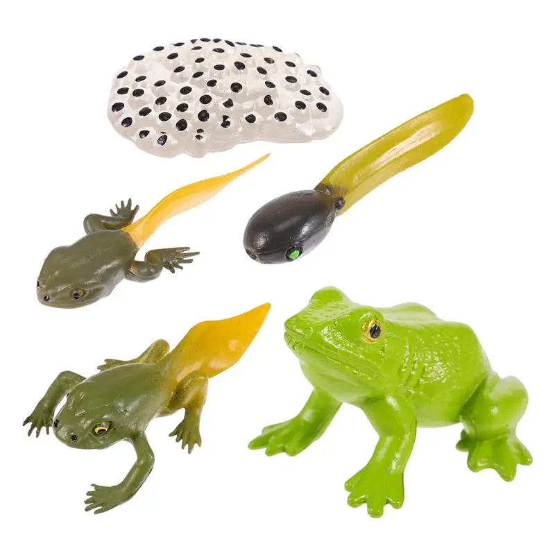 

1 Set Children Educational Biology Growth Cycle Models Funny Kids Toys