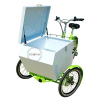 ce adult 3 wheels cargo trike pedal electric goods bike with cover shipping by sea