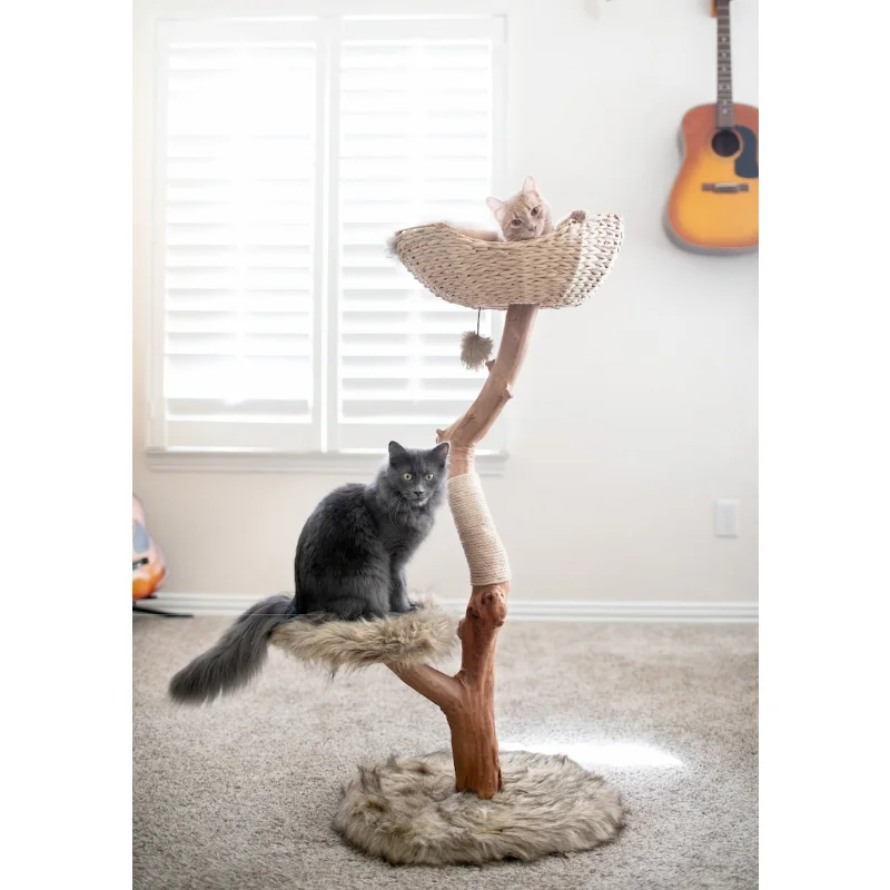 

Cat Tree Tower, Modern Single Branch Cat Condo, Wood Cat Tree, Cat Climbing, Furniture For Cat, cat mat cat litter mat