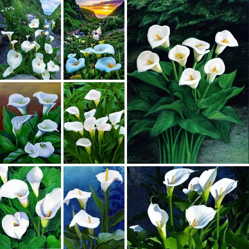 

New Arum Lilies White Flowers Diamond Painting Calla Lily Full Square 5D DIY Mosaic Diamond Embroidery Cross Stitch Home Decor