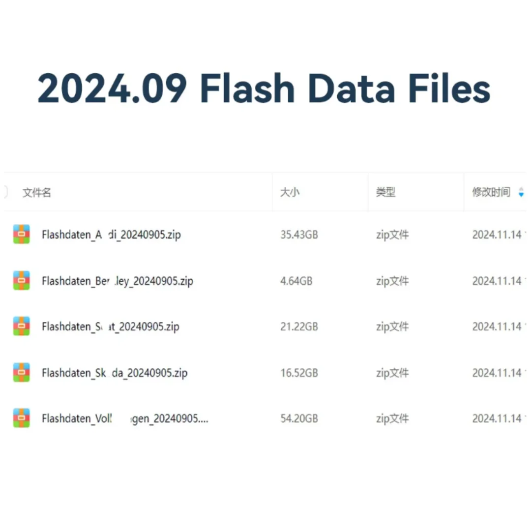[2024.09] Новейшие файлы данных Flashdaten ECU прошивки для VW AUDI SEAT SKODA