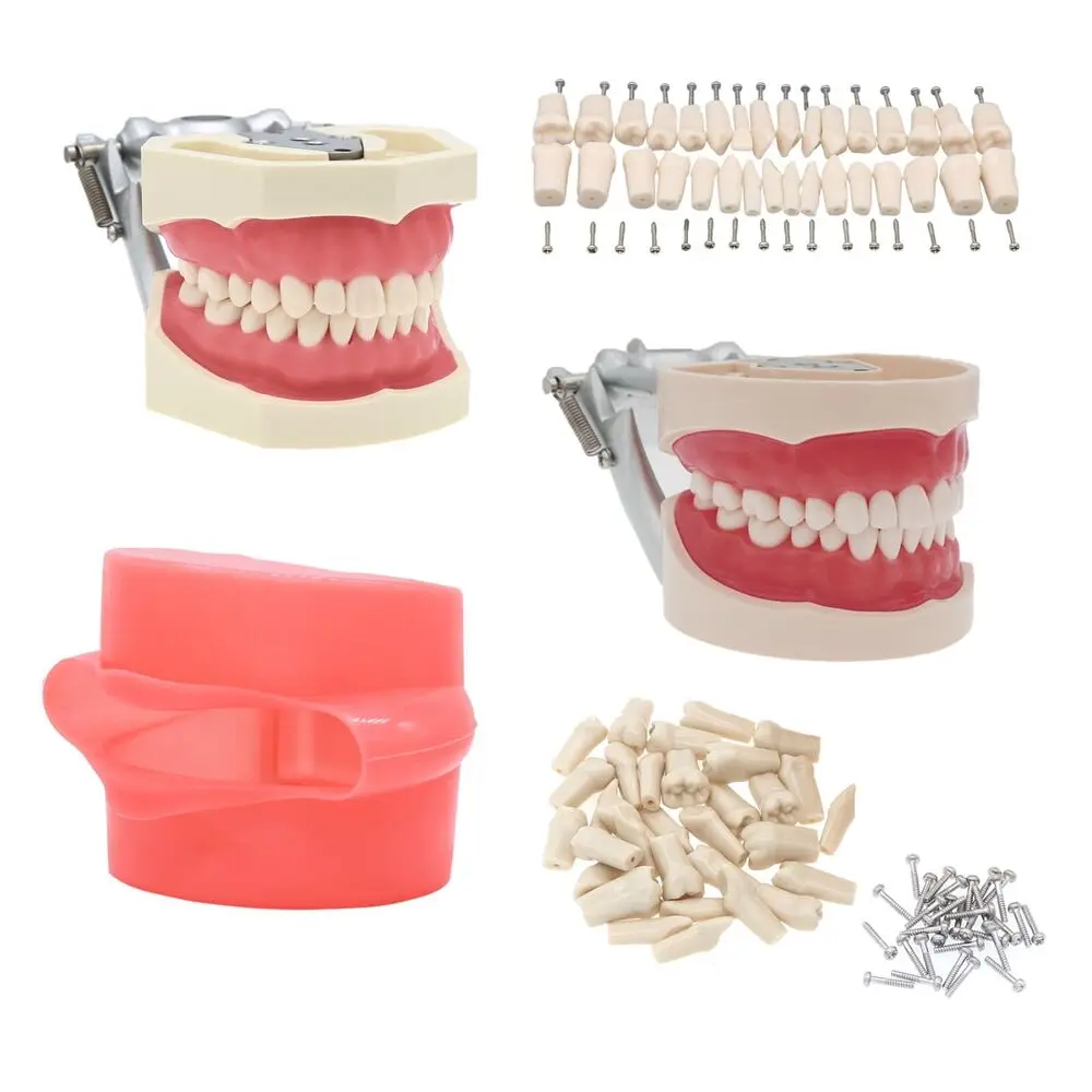 

Зубная модель зубов модели зубов зубы, совместимая с kilгор NISSIN 200/500, с 28 шт. 32 шт. съемные