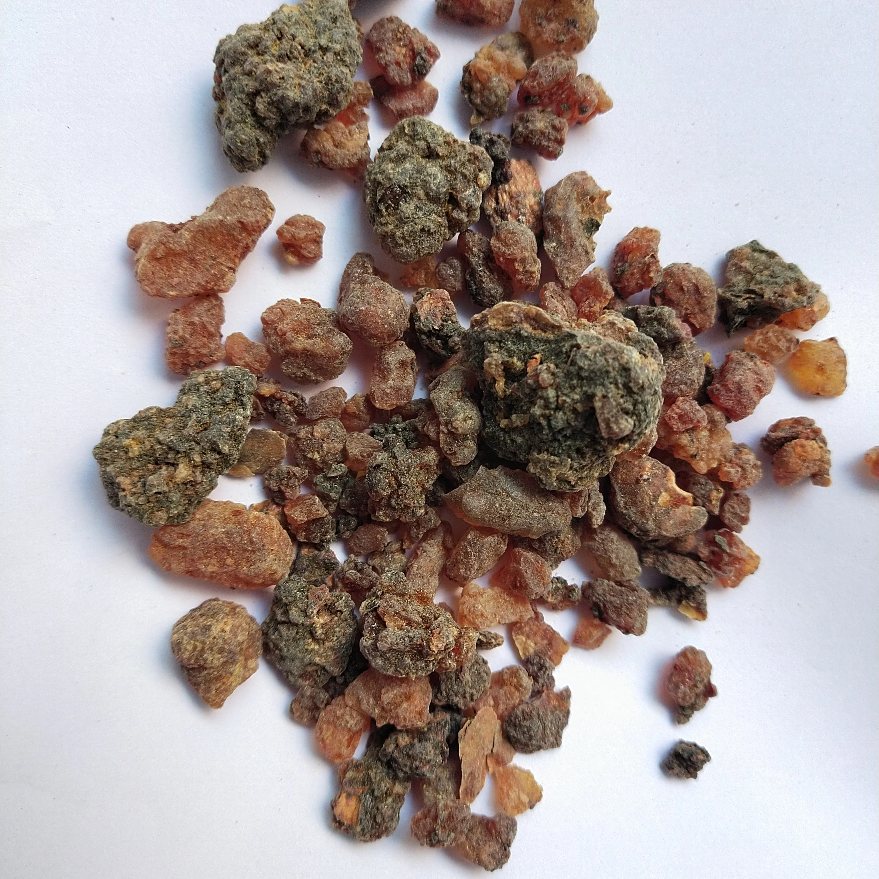 Commiphora Myrrha