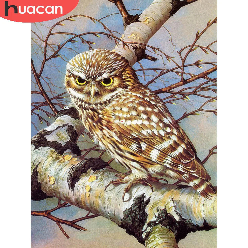

HUACAN 5D Full Square Round Diamond Mosaic Owl DIY Diamond Painting Animal Embroidery Decorative Paintings