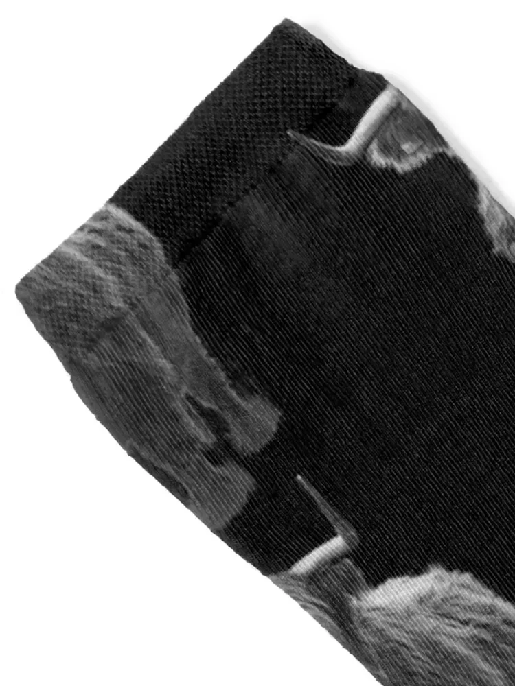 Носки с изображением коровы Galloway забавные подарки на Хэллоуин спортивные чулки