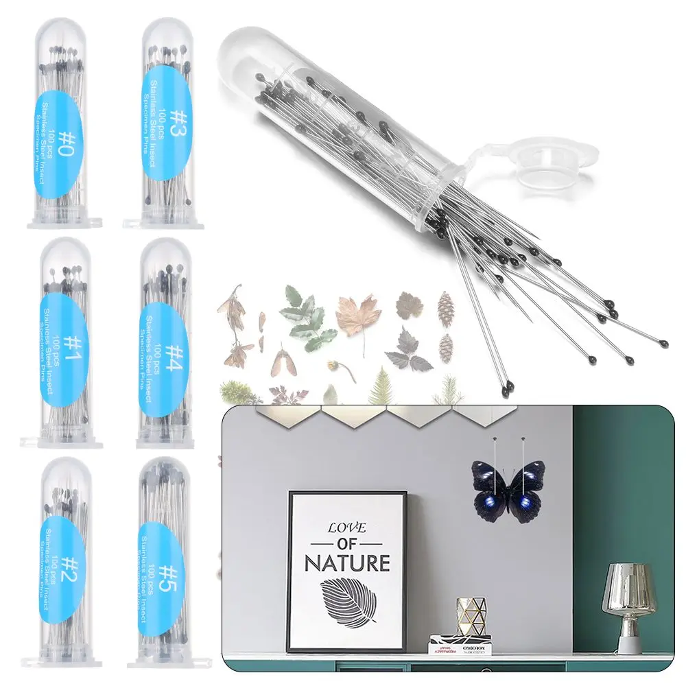 

100Pcs/Pack Stainless Steel Specimen Needle Insect Pins With Plastic Box For School Lab Education Entomology Body Dissection