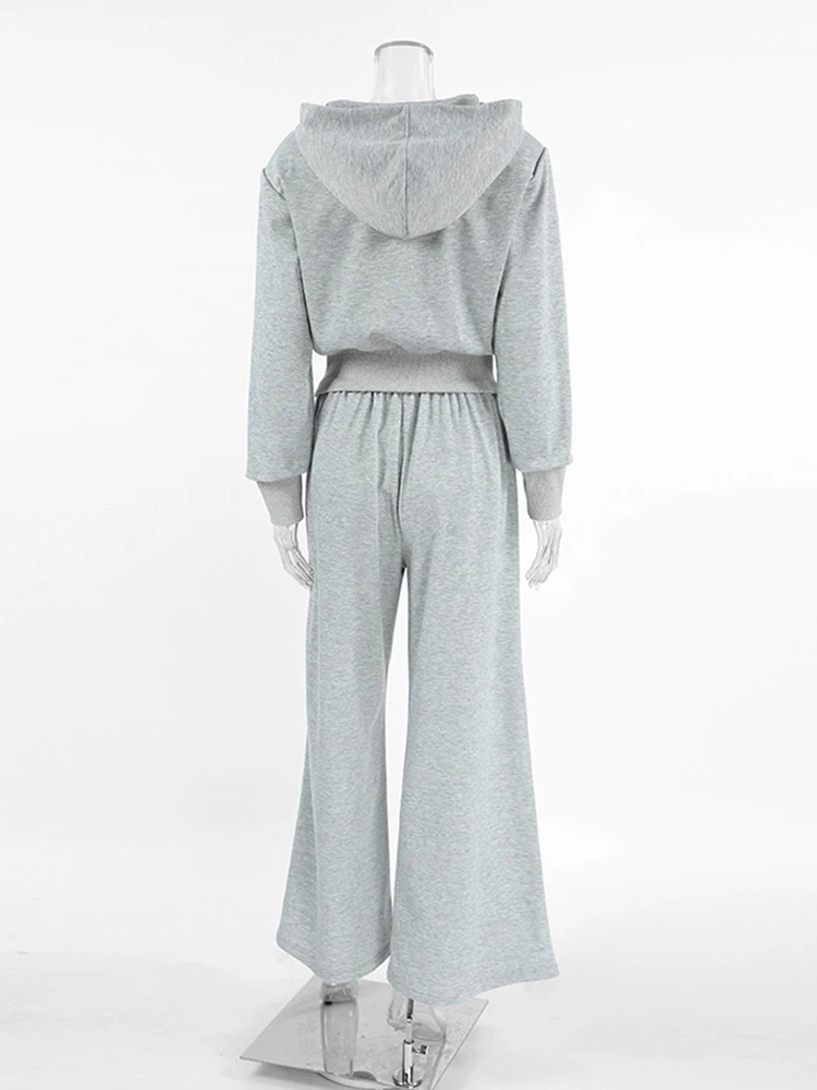 Aynaray женский однотонный спортивный костюм на зиму и весну 2024 комплект одежды