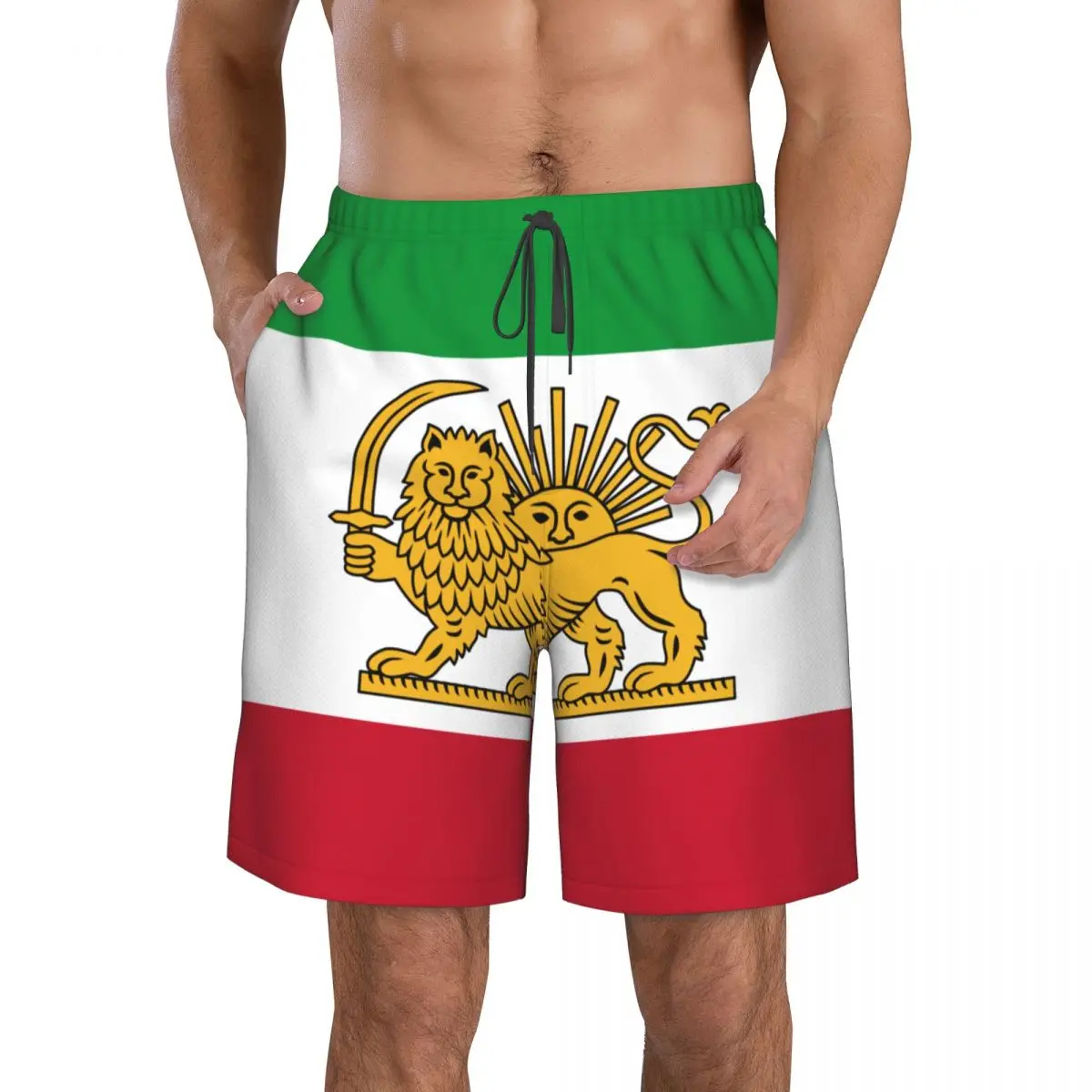 

Быстросохнущие мужские пляжные шорты для мужчин, плавки, плавки, Шорты для плавания, пляжная одежда, вариант флага Ирана с эмблемой льва и солнца
