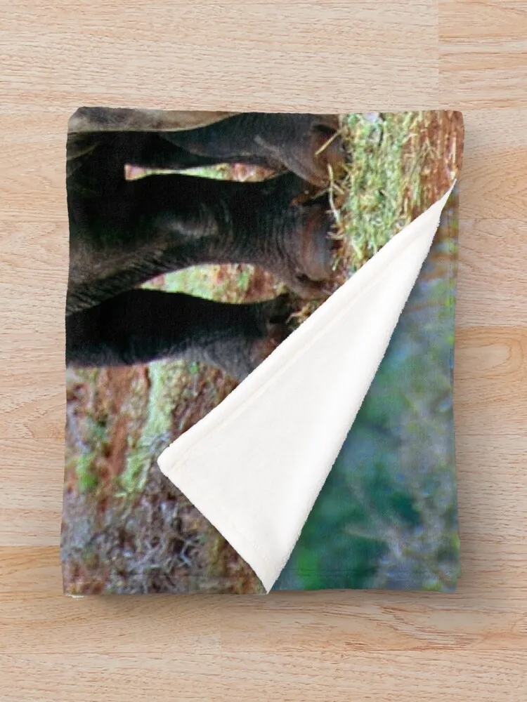 Белое одеяло с носорогом Zulu Nyala Reserve Южная Африка детские одеяла для диванов