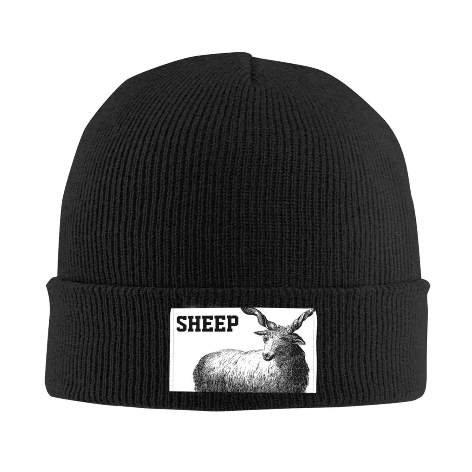 New In Beanies For Men Cartoon Animal Sheep Embroidery Women'S Winter Hat Outdoor Soft Warm Ski Caps Skullies Knitted Y2k