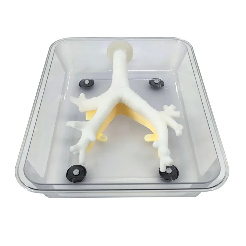 KyrenMed тренировочный симулятор бронхоскопии волокнистая Бронхоскопия вторичная