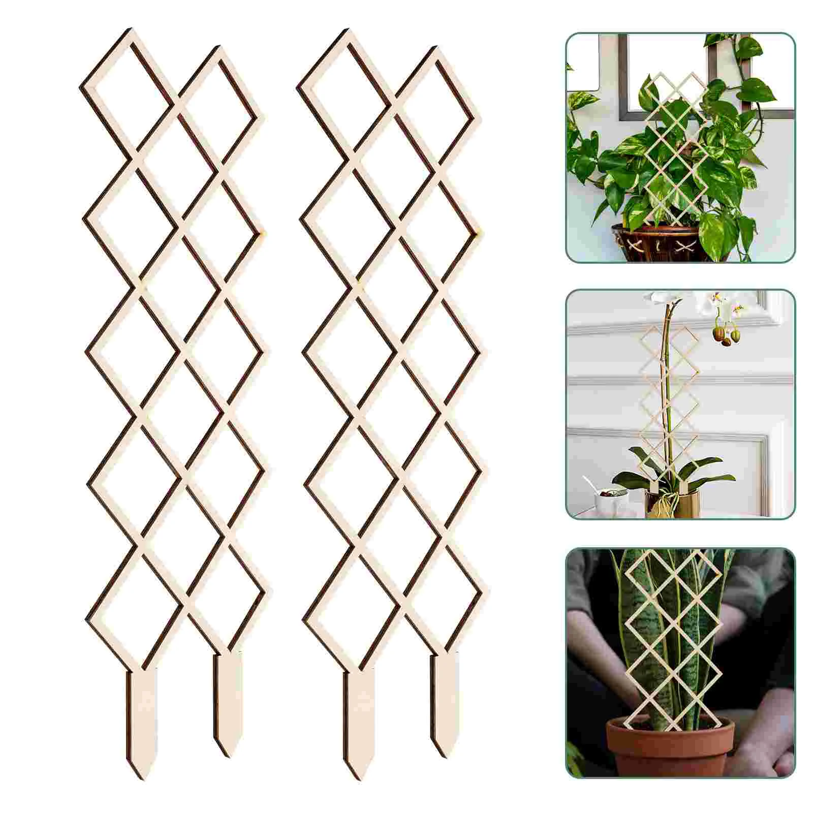 

2 Pcs Plants Trellis Potted Climbing Holder Vine Indoor Orchid Rack Garden Greenery Supporting Racks Supplies