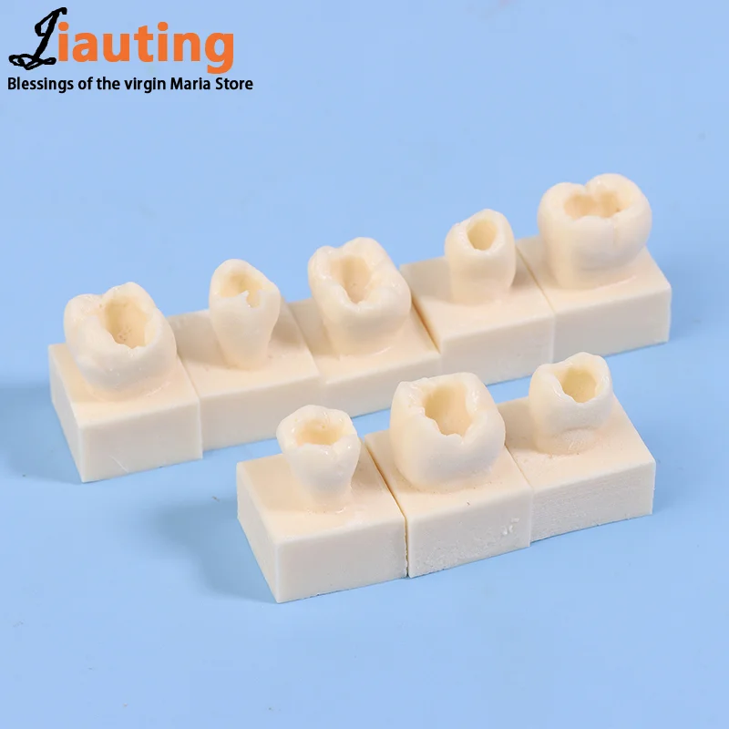 8 шт./компл. стоматологическая задняя студенческая тренировочная тестовая модель
