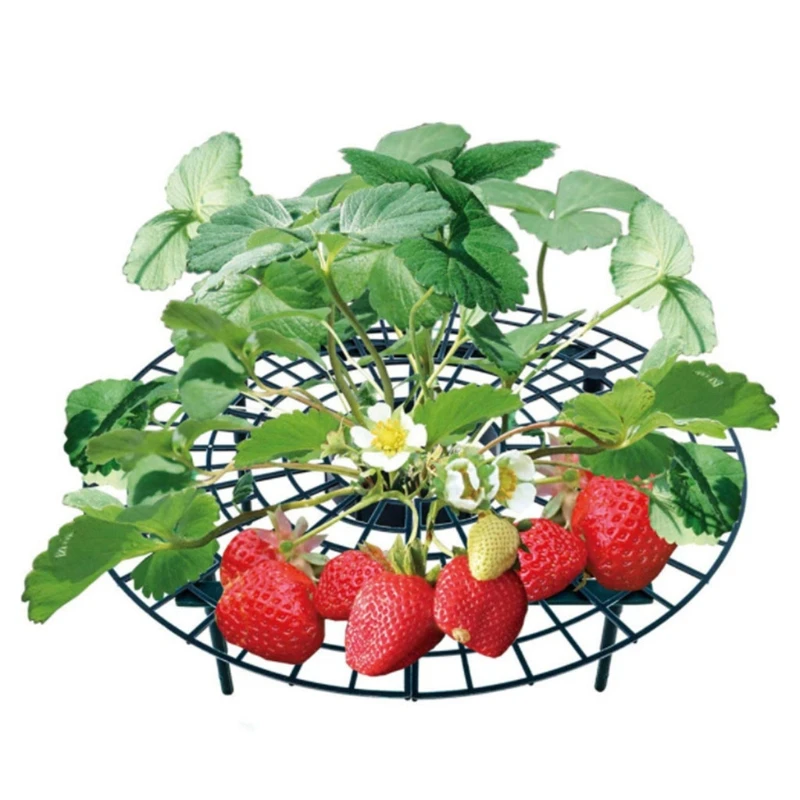 

2022 New Strawberry Stand Frame Holder Balcony Planting Rack Fruit Support Plant Flower Climbing Vine Pillar