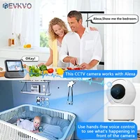 Ip-Камера EVKVO#2