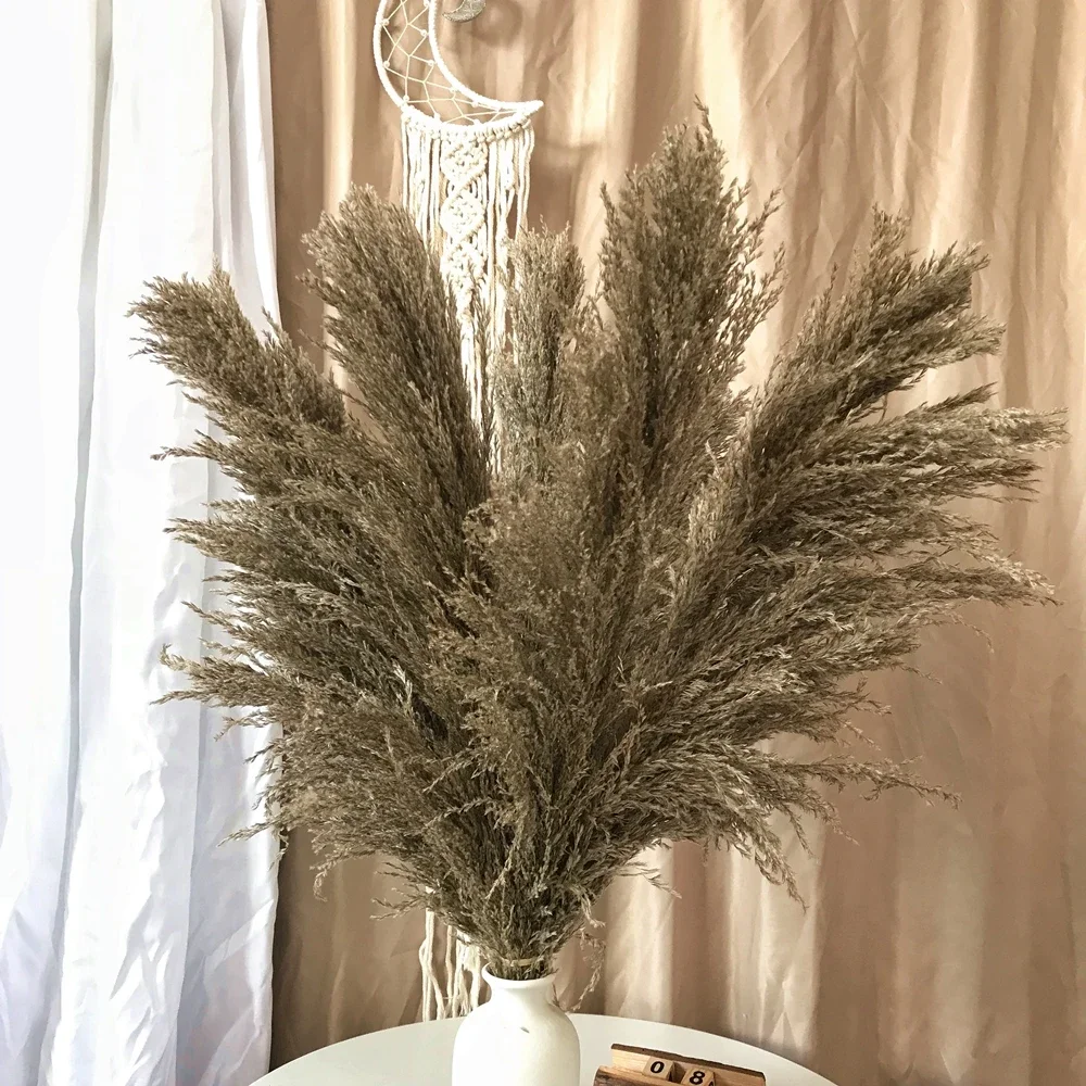 

Большой шлейф из сухой пампасной травы 110-120 см
