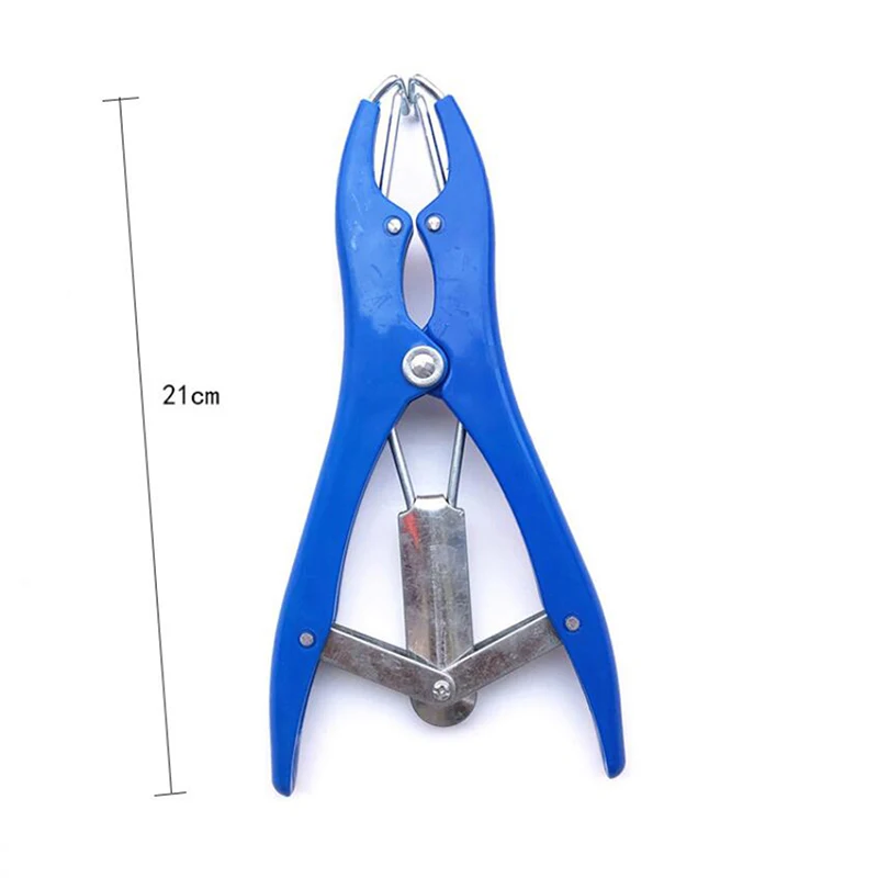 

Broken Tail Castration Forceps With High Elastic Tendon Rubber Animal Livestock Supplies Castration Rings Farm