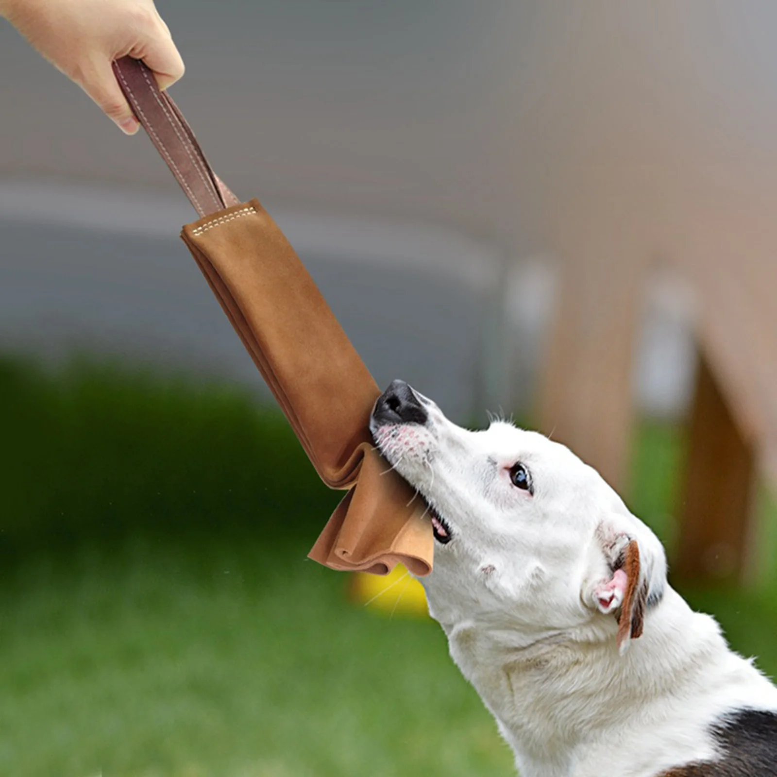 

Тканевая игрушка для собак, замшевая кусающая ткань с ручкой 15 см, для обучения маленьким, средним и крупным собакам