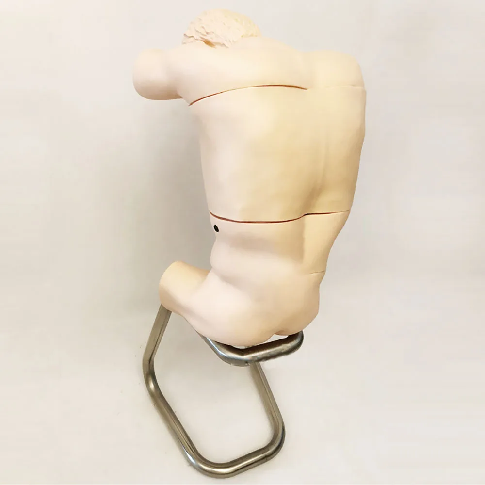 

Thoracic (back) Puncture Training Model
