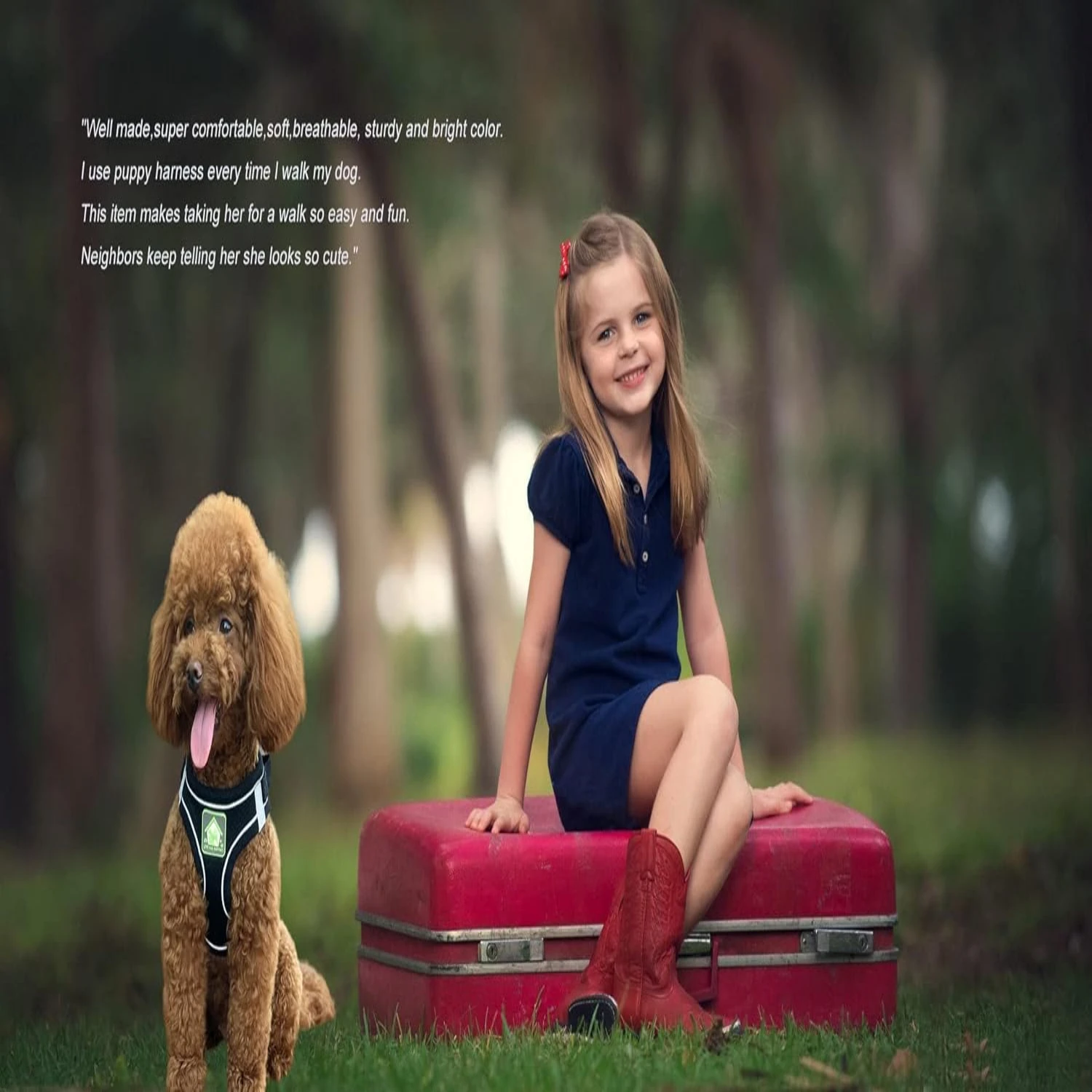 Уличное оборудование. Модернизируйте свое путешествие на открытом воздухе с