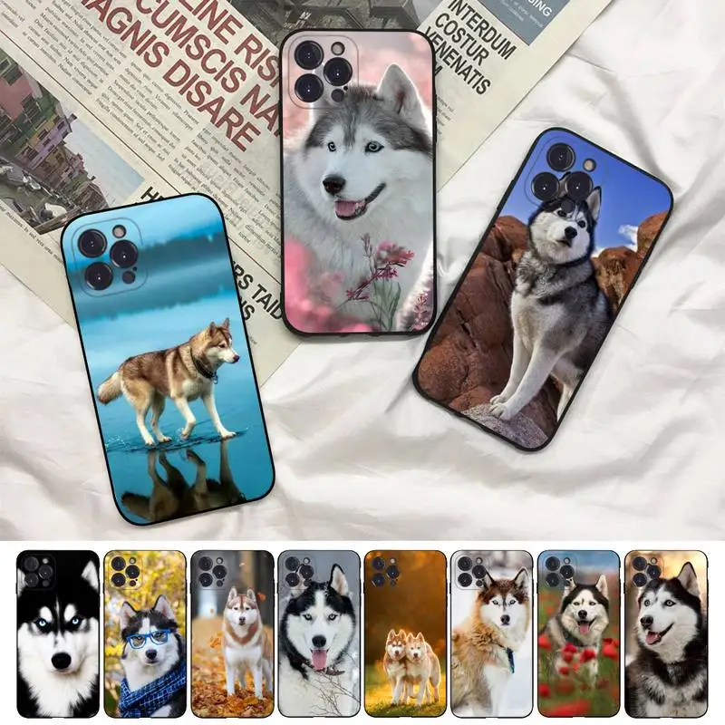 

Alaskan Huskies dog Phone Case For iPhone 8 7 6 6S Plus X SE 2020 XR XS 14 11 12 13 Mini Pro Max Mobile Case